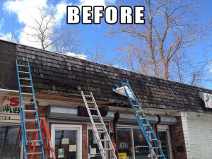 Omega Construction Services