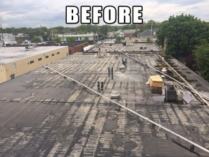 Omega Construction Services